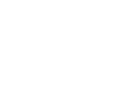 connexa logo